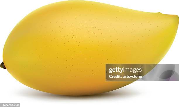 mango - mango white background stock illustrations