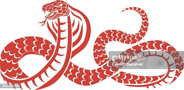 ilustraciones, imágenes clip art, dibujos animados e iconos de stock de serpiente cobra - cobra rey