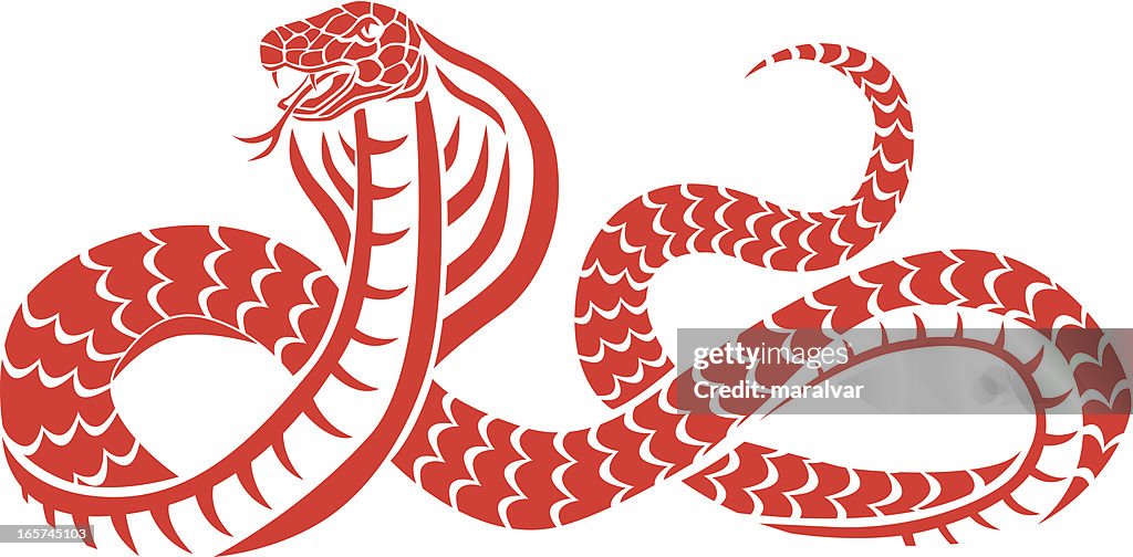 Snake cobra