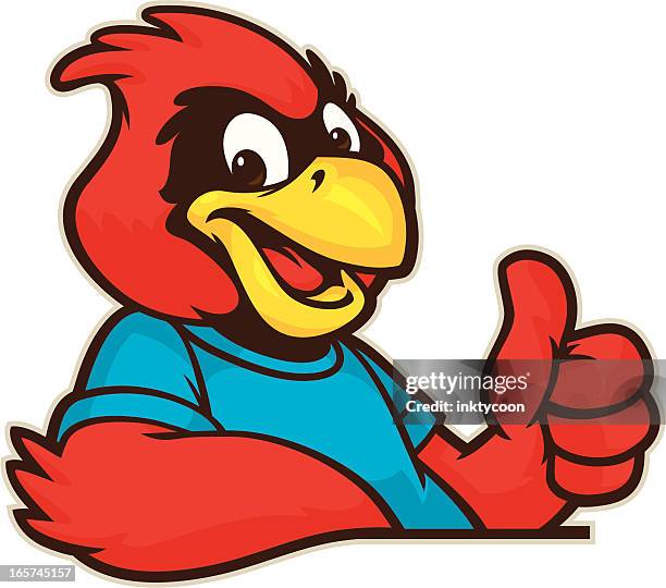 youthful cardinal mascot - cardinal bird stock illustrations
