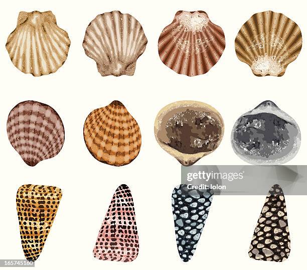 Yellow Texture Top View High Res Illustrations - Getty Images