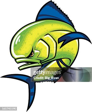Dolphin fish Dolphin fish