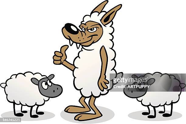 wolf in sheep's clothing - wolf sheep stock illustrations