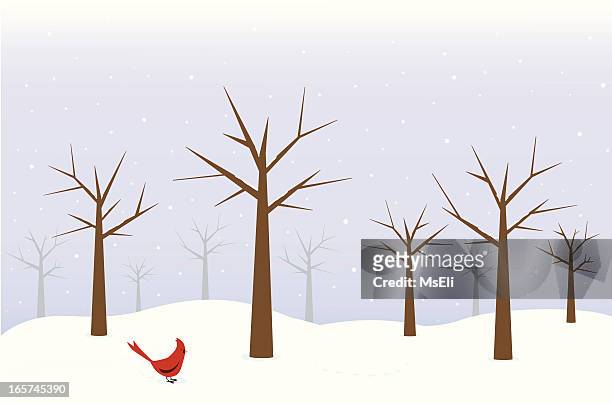winter-szene mit cardinal - kahler baum stock-grafiken, -clipart, -cartoons und -symbole