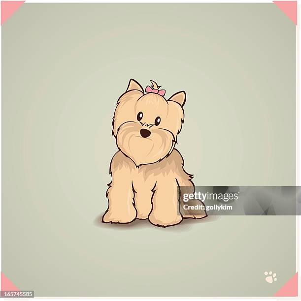 yorkshire terrier - yorkshire terrier stock illustrations
