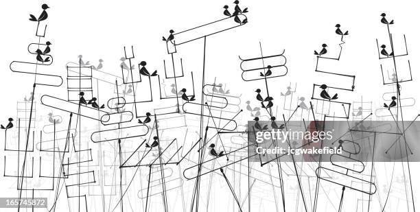 luftaufnahmen mit vögel - fernsehantenne stock-grafiken, -clipart, -cartoons und -symbole