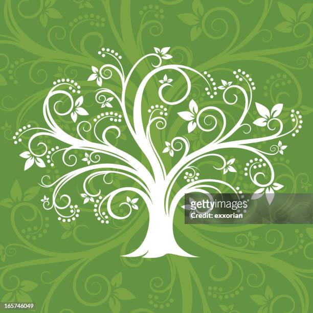amazing tree in spring - leaves spiral stock illustrations