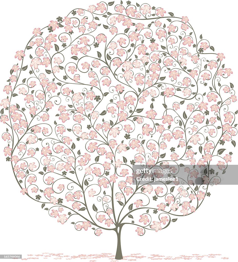 Pink Blossom