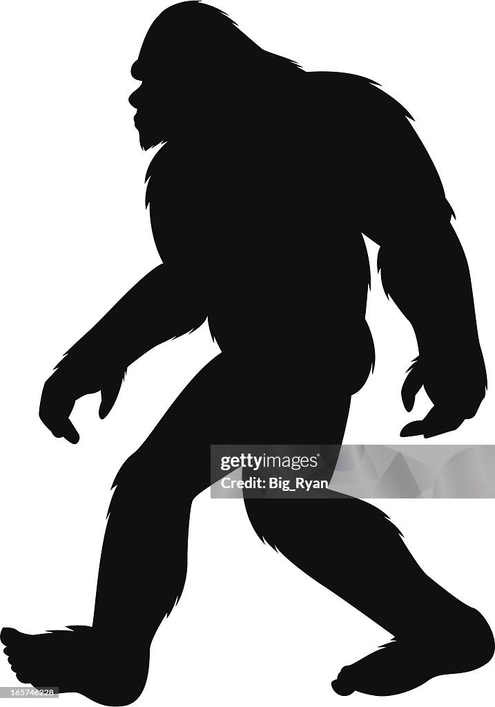 Bigfoot シルエット