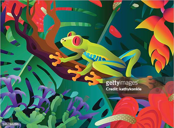 170 Tree Frog High Res Illustrations - Getty Images