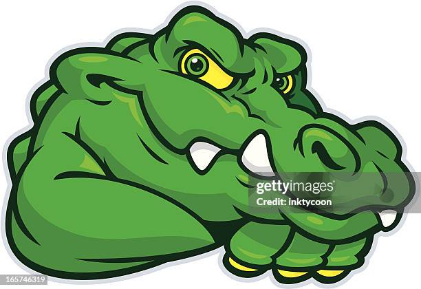 ilustraciones, imágenes clip art, dibujos animados e iconos de stock de joven mascot de cocodrilo - alligator