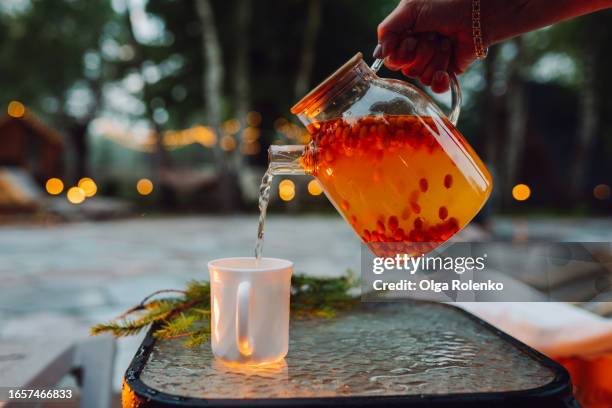nature connection with sea buckthorn tea in dusk. pouring hot drink from teapot to mug on tray in autumn evening - teapot stock pictures, royalty-free photos & images