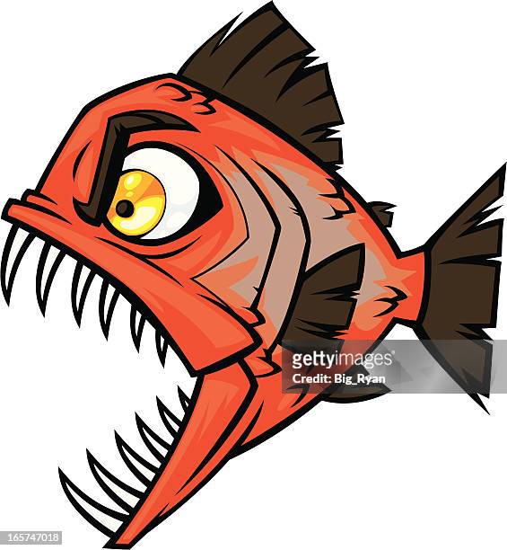toothy piranha - caribe stock illustrations