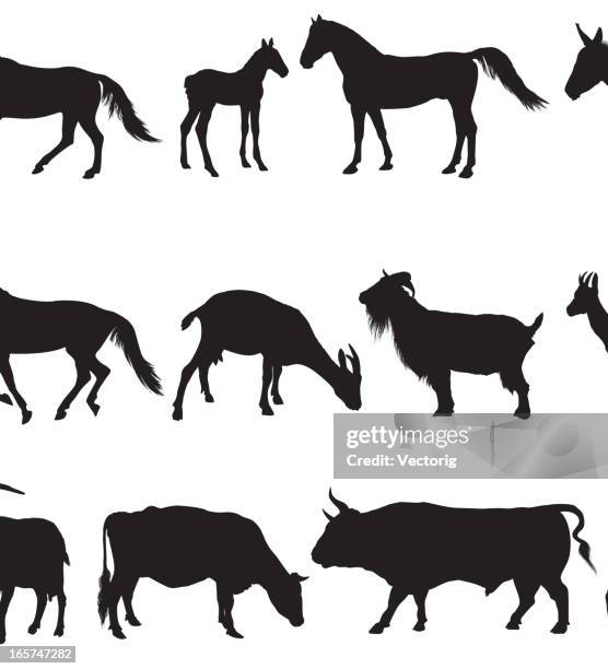 72 Ilustraciones de Toro De Perfil - Getty Images 72 Ilustraciones de Toro De Perfil - Getty Images