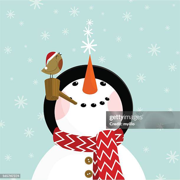 snowman and robin - face snow stock illustrations