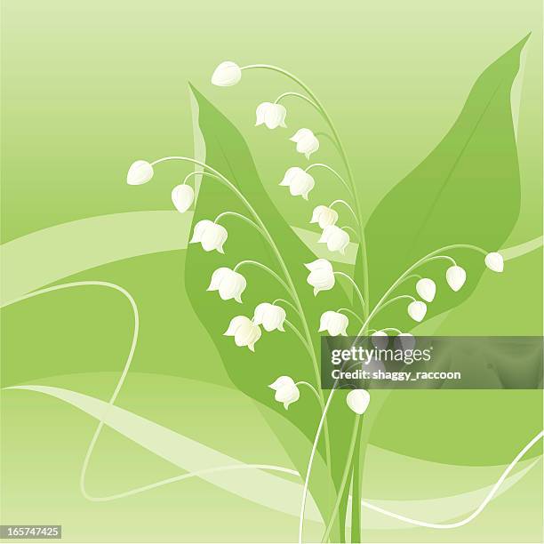 lily of the valley - lily of the valley stock illustrations