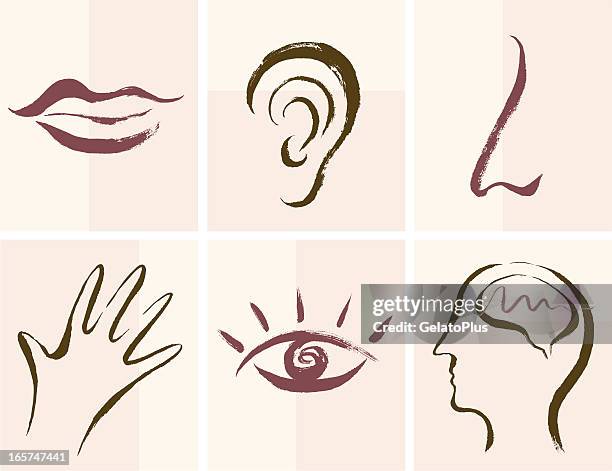 ilustraciones, imágenes clip art, dibujos animados e iconos de stock de sentidos iconos - boca oreja