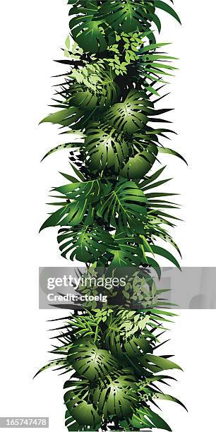 stockillustraties, clipart, cartoons en iconen met seamless jungle bordure - anthurium