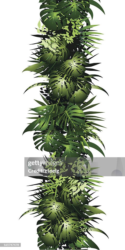 Seamless jungle bordure