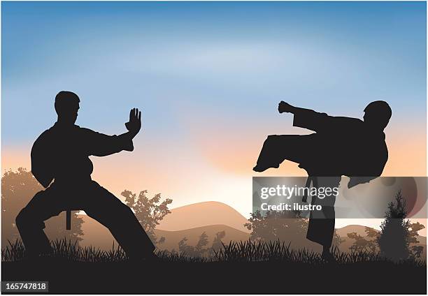 training - aikido stock illustrations