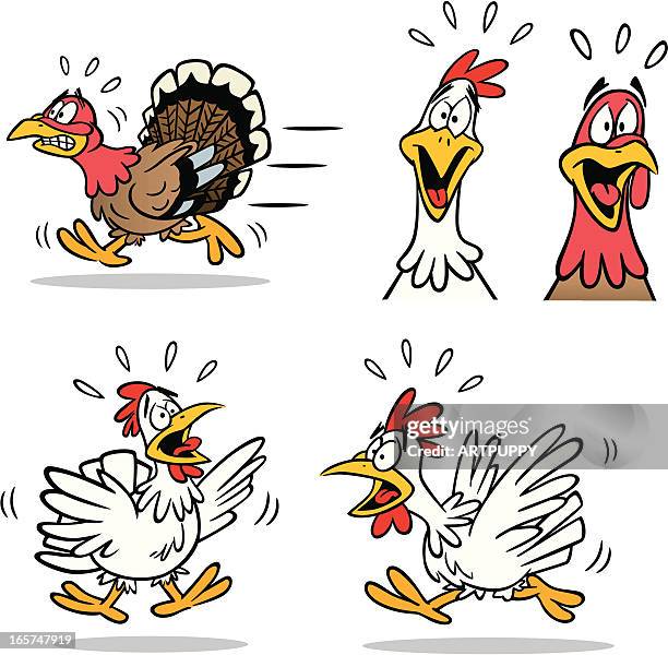 stockillustraties, clipart, cartoons en iconen met panic poutry - funny turkey images