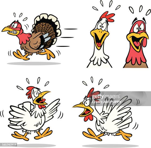 panic poutry - cartoon chicken stock illustrations