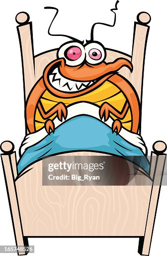 Hungry bed bug Hungry bed bug