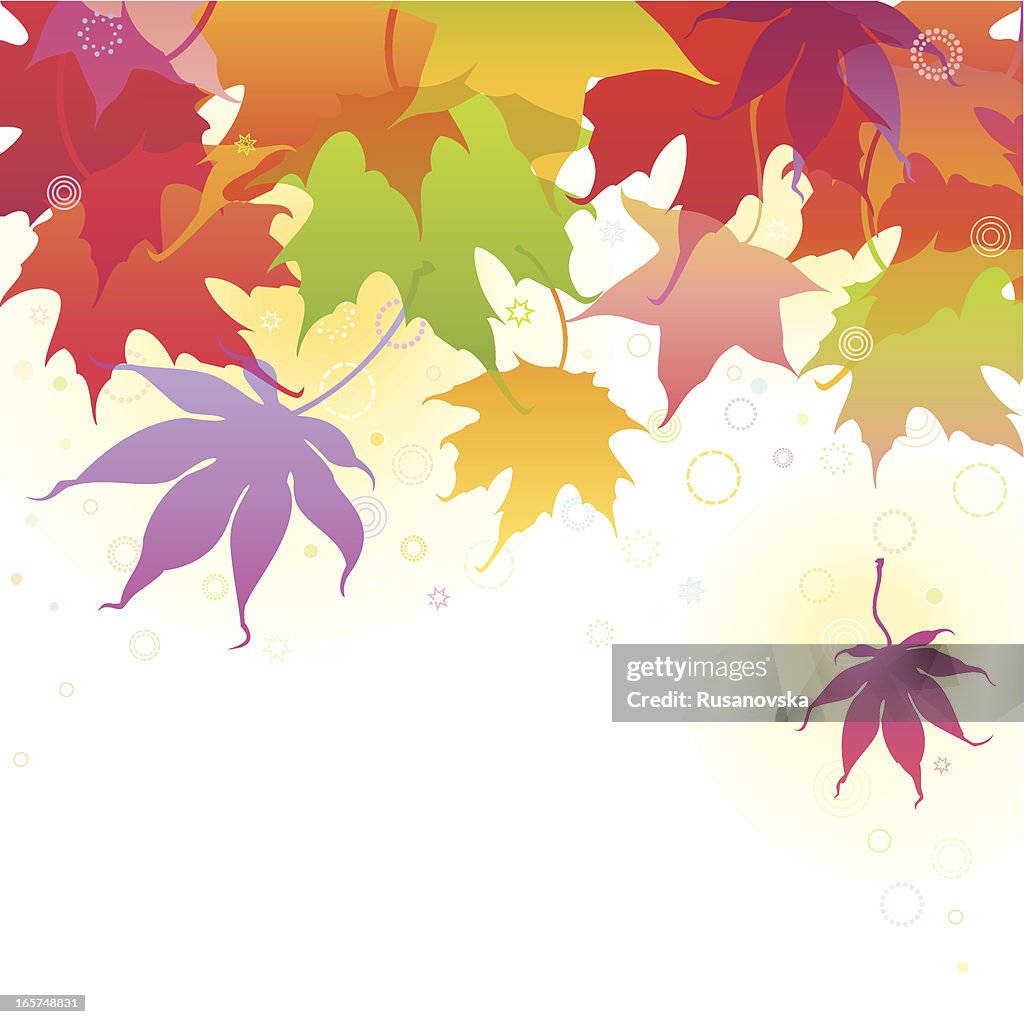 Autumn Maple Leaves Background
