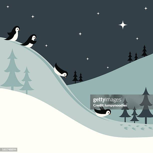 ilustraciones, imágenes clip art, dibujos animados e iconos de stock de pingüinos paseos en trineo de una colina nívea por la noche - tobogganing