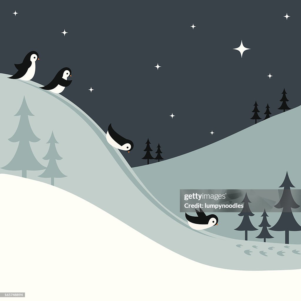 Penguins Sledding Down a Snowy Hill at Night