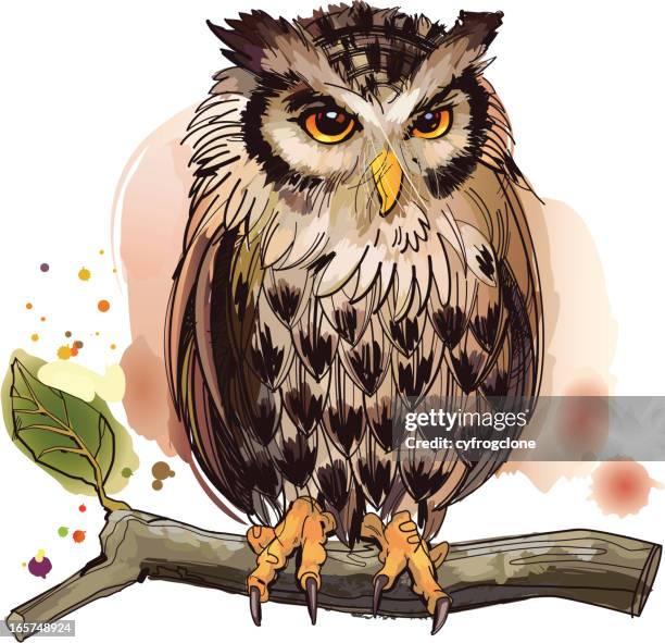 owl - watercolor safari animals stock illustrations