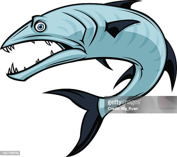 ilustrações, clipart, desenhos animados e ícones de barracuda - barracuda
