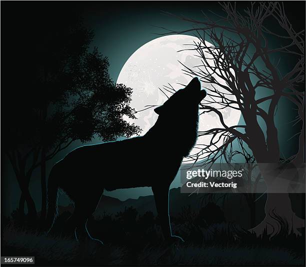 ilustrações de stock, clip art, desenhos animados e ícones de uivando para a lua - wolf wallpaper