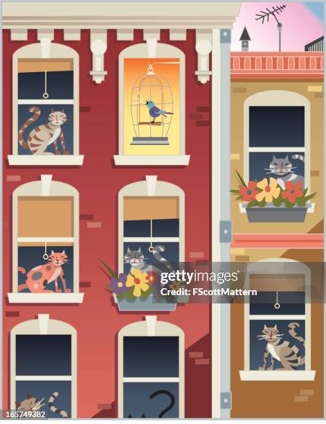 neighbors - window flower box stock illustrations