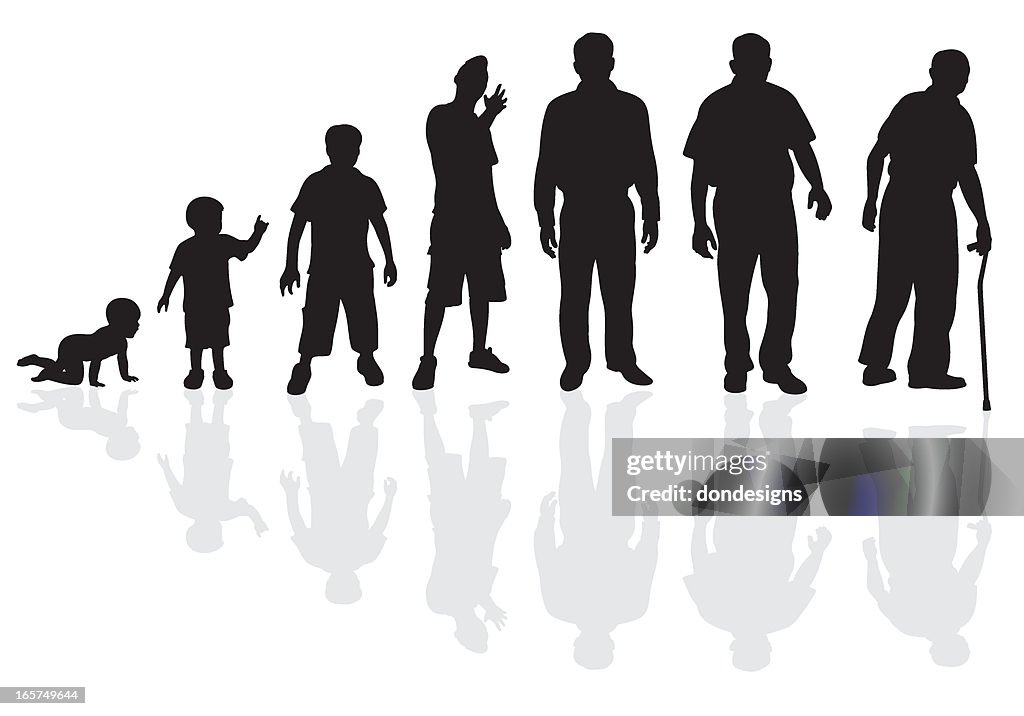 Male Life Cycle Silhouette