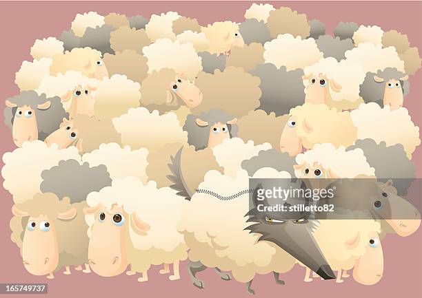 wolf and lot of sheeps - wolf sheep stock illustrations