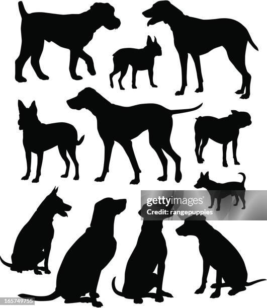 dogs! - trained dog stock illustrations