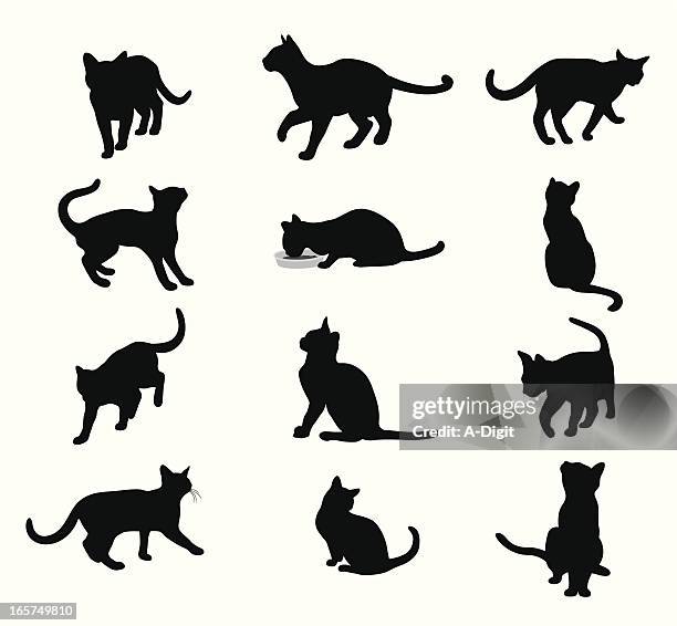 purringcats - 猫 影点のイラスト素材／クリップアート素材／マンガ素材／アイコン素材