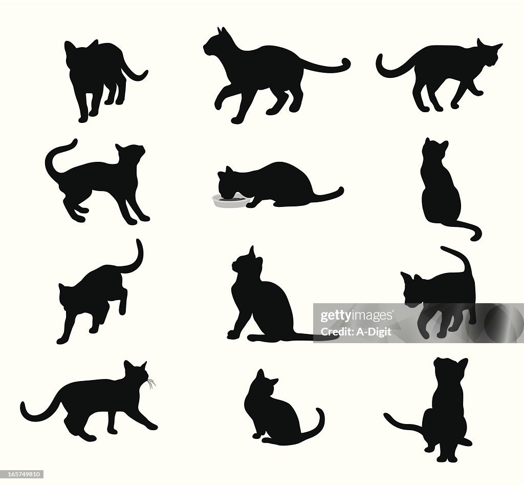 Purring Cats Vector Silhouette