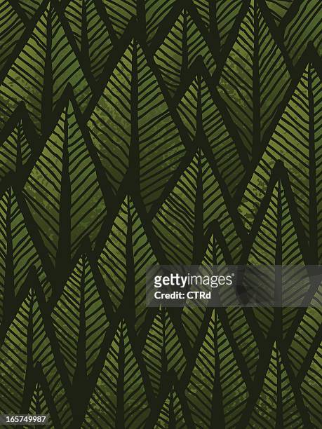 hand drawn wald hintergrund - immergrüne pflanze stock-grafiken, -clipart, -cartoons und -symbole