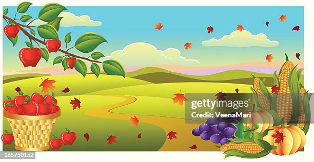 harvest time.. - apple tree stock illustrations