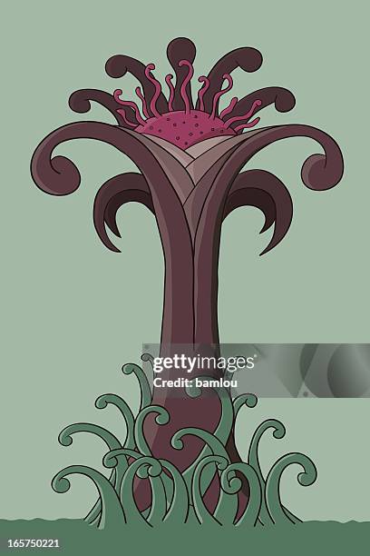 weird flower - twisted tree stock illustrations
