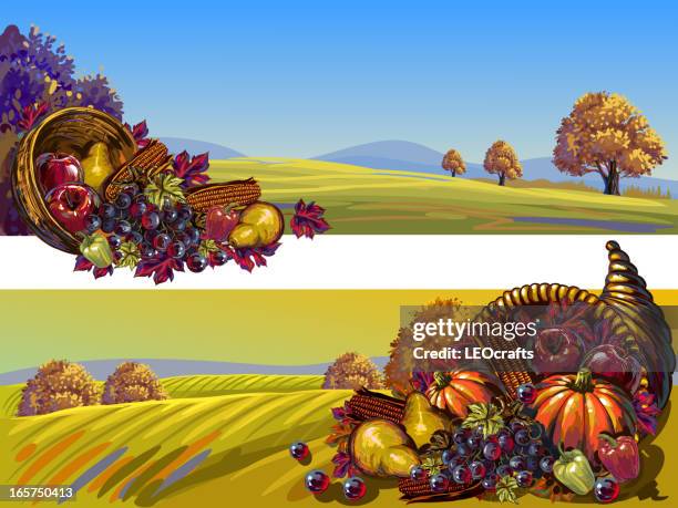 beautiful autumn/thanksgiving backgrounds - cornucopia vector stock illustrations