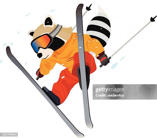skiing raccoon cartoon character - freestyle snowboarding stock illustrations