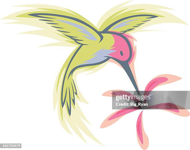 ilustrações, clipart, desenhos animados e ícones de cantarolando design pássaros - hummingbird