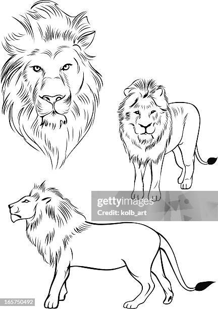 illustration of a lion - prowling stock illustrations