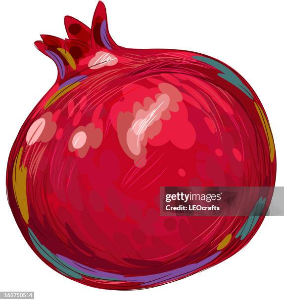 fresh pomegranate isolated on white - pomegranate stock illustrations