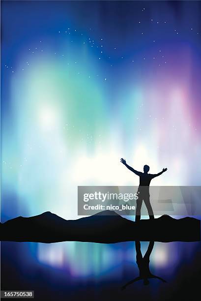 stockillustraties, clipart, cartoons en iconen met northern lights - northern light