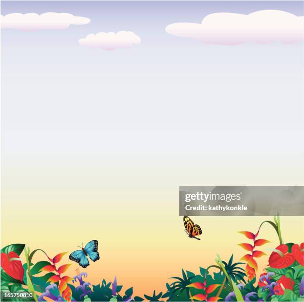 stockillustraties, clipart, cartoons en iconen met tropical butterflies with copyspace - anthurium