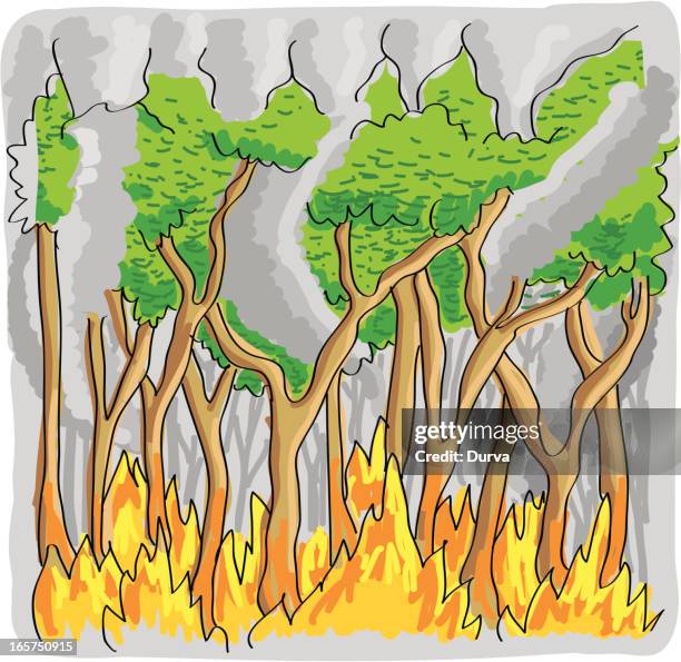 forest fire - slash and burn stock illustrations